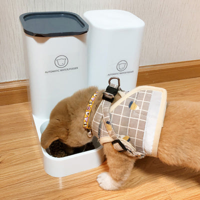 Automatic Feeding Machine For Cats And Dogs