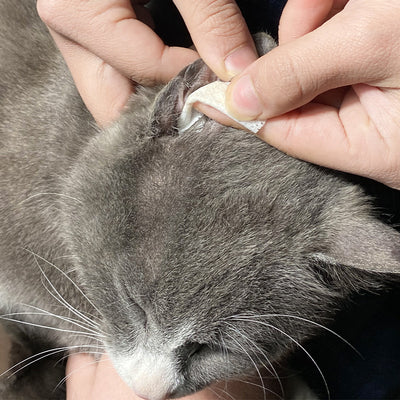 Ear Cleaning Wipes for Cats & Dogs