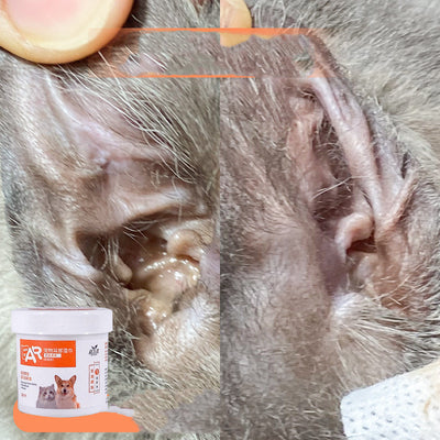 Ear Cleaning Wipes for Cats & Dogs