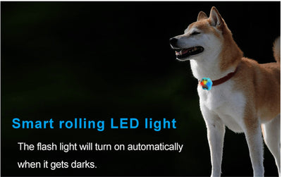 Smart Pet Location Tracker – Pet GPS Location Tracker