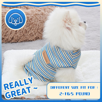 Stylish Cooling Vest for Dogs
