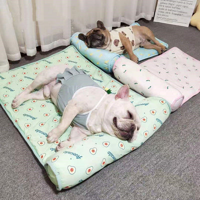 Summer Cooling Dog Mat – Portable & Breathable for Pets