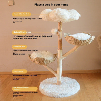 Solid Wood Climbing Cat Tree Nest