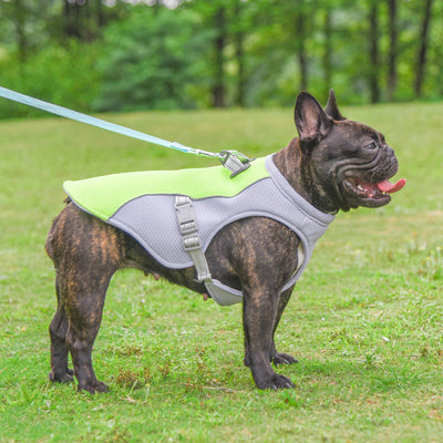 Pet Dog Cooling Vest Heat Resistant.